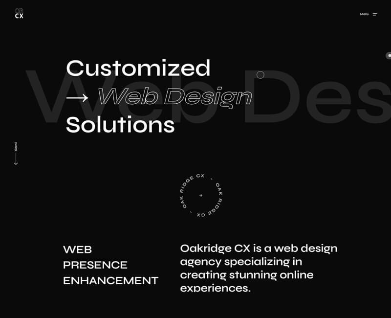 Website for Canada Based Web Design Agency